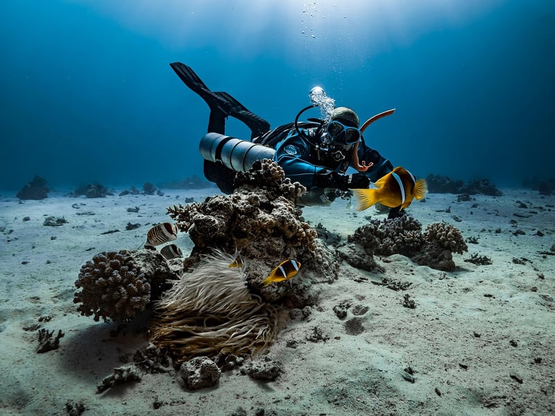 Wreck Diving